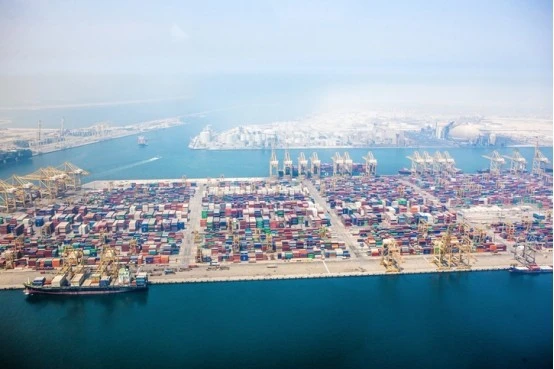 Sea Freight Service From Shanghai Port To Jebel Ali Port suppliers